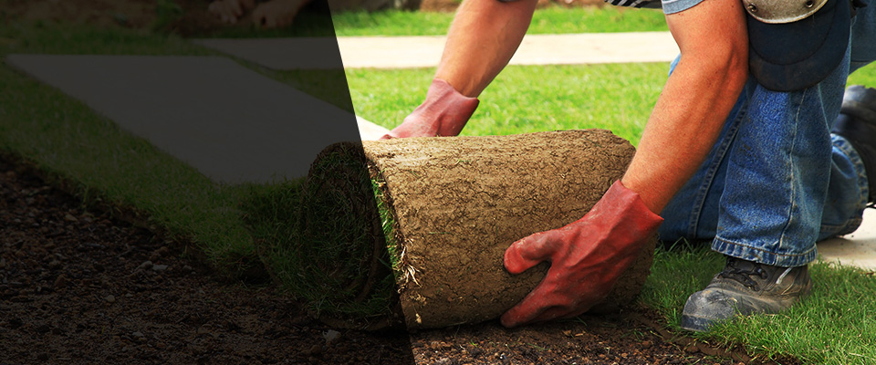 Erath Landscapers